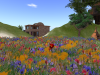 Flower Garden Particles Emitter 042410_002