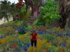 Flower Garden Particles Emitter 042410_004