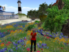Flower Garden Particles Emitter 042410_005