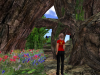Flower Garden Particles Emitter 042410_007